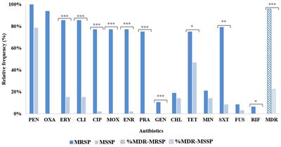 Genetic diversity and antimicrobial resistance profiles of Staphylococcus pseudintermedius associated with skin and soft-tissue infections in companion animals in Lisbon, Portugal